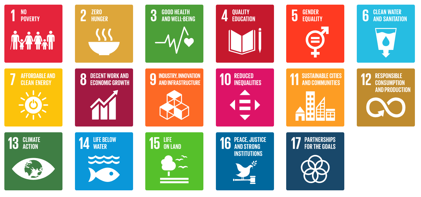SDG Image